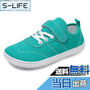 yzzcoliL qC LoX Xj[J[ ̎q j̎q ^C }WbNe[v y ~ ʊw _炩 FFO[ATCYF16.5 cm E