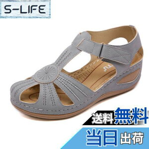 yz[Zcoli] vobNoh T_ fB[X EFbW\[T_  ItBXT_ y ₷ ʋC  ʋ ʊw FFO[ATCYF26.5 cm