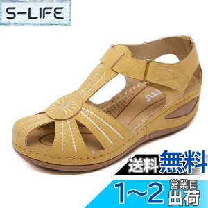 yz[Zcoli] vobNoh T_ fB[X EFbW\[T_  ItBXT_ y ₷ ʋC  ʋ ʊw FFCG[ATCYF25.5 cm