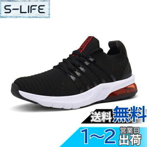 yz[Zcoli] y jOV[Y Y Xj[J[ V[Y fB[X ʋC GACg X|[cV[Y ₷ JWA EH[LO g[jO ʊw ʋ 