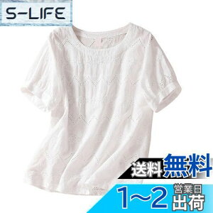 yz[YASHIGE] uEX fB[X  Vc gbvX [X    Ȗ ʋC n ԕ JWA f[g ʊw  FFzCgATCYFM