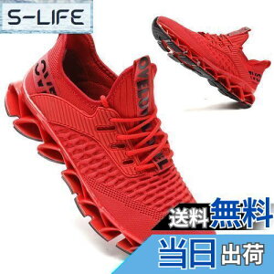 yz[Mevlzz] Xj[J[ YV[YʋCjOCj̎q^CEH[LOWMOg[jOV[YX|[cC FFbhATCYF24.5 cm