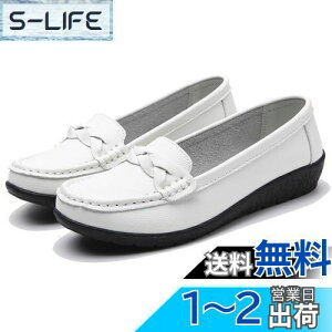 yz[WUIWUIYU] Xb| fB[X [t@[ i[XV[Y tbg ₷ ɂ wlC ʋ d FFzCgATCYF24.5 cm