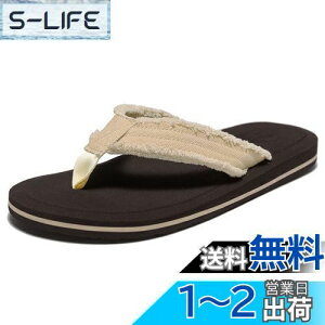 yz[WOTTE] T_ Y r[`T_ ɂȂ  r[T y JWA Vvł /O FFx[WATCYF24.5 cm 3E