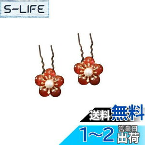 yzEZ PEACH  p[ Us  LL    wAANZT[ fB[X  p[eB[ w Ă΂ Ǝ a l U  2{Zbg wAA