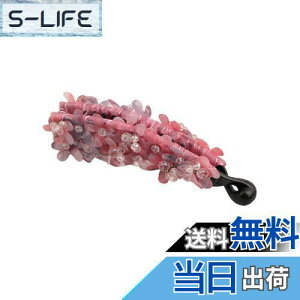 yzEZ PEACH oiiNbv ȒPw LLƋP nhXgbv 킢NX^r[YD ԃw 傫 wANbv  Vv wAANZT[   l 