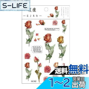yzEZ PEACH R[Wf V[ t[N  ԁX  h g V[ PET R[WDIY  fގ  pbN V[V[g 蒠fR t  킢  