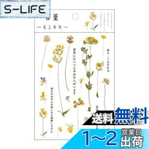 yzEZ PEACH R[Wf V[ t[N  ԁX  h g V[ PET R[WDIY  fގ  pbN V[V[g 蒠fR t  킢  