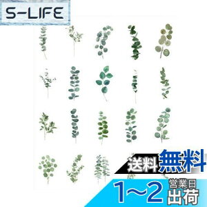 yzEZ PEACH R[Wf V[ t[N  ԙ  ʎX h g V[ PET R[WDIY  fގ  pbN V[V[g 蒠fR t  킢 