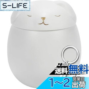 yzyAngelicatez ybg  3.5 500ml L   ⍜ [  d 茳{ (zCg, i{L[z_[j)