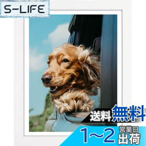 yzLEADINTOP _ChA[g tHgt[ ؐ 30 x 40 cm _ChGp ʐ^ Ǌ|  p fBXvCt[ ʐ^t[ \ |X^[ ܏z  