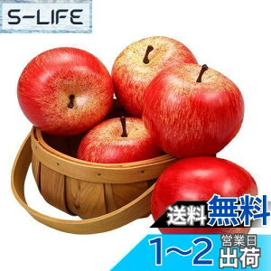 yzSensaBliss  HiTv ʕ ͌^ A  Tv 5 Hi͌^ fBXvC W  ͌^ 8cm A  vJ t[cf Be ʐ^ 