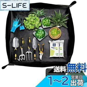 yzSensaBliss |V[g AւV[g 75cm*75cm ` h h~ K[fjOV[g A ̐Aւ y ڐA y}bg cg[ ye  O 