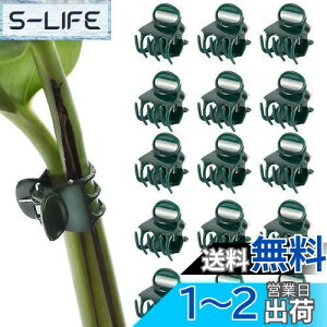 yzPAVIKE m ApNbv 50 AxNbv |Nbv ڂ؃Nbv xUNbv ϋv ͔| ėp\ K[fK[fc[ |֗Nbv |