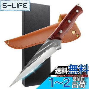 yzUtaki XL Xe[LiCt {[jOiCt t^O\ n؈ AEghA Lv s؂ꖡ pvt