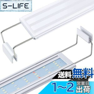 yzFEDOURtXyNgƖLEDCgF^C}[t 30cm40cm60cm̍PxCgALk\ȃuPbgtA琬/ƖpvAFvX`bNP[XLED