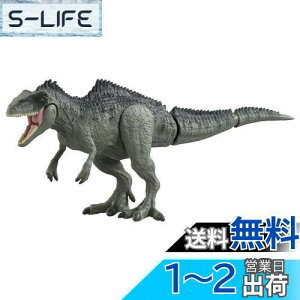 yz^Jg~[(TAKARA TOMY) AjA WVbNE[h MKmgTEX    3Έȏ
