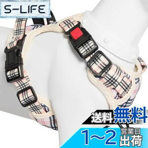 yz[2025ŐV^n[lX]BaoCheng p ^/^/^n[lX p h~ A^}ʂ P݌y TCY\ Ԕˍ Ȃ ʋC ȒP