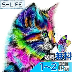 yz5d_ChA[g Lƒ 5D _Chh UCNA[g _ChyCeBO Lbg r[YG Sʓ\t^Cv r[YA[g UCNr[Y |pi 