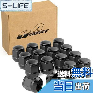 �y���������zGAsupply ���O�i�b�g M12 x P1.5 �z�C�[���i�b�g �e�[�p�[��60° ����24mm 19HEX �}�c�_/�_�C�n�c/�O�H�ɂɑΉ� �X�`�[���� 16�Z�b�g �u���b�N