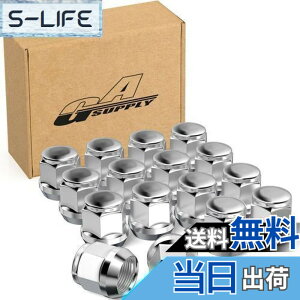 �y���������zGAsupply ���O�i�b�g M12 x P1.5 �z�C�[���i�b�g �e�[�p�[��60° ����24mm 19HEX �}�c�_/�_�C�n�c/�O�H�ɂɑΉ� �X�`�[���� 16�Z�b�g �N����