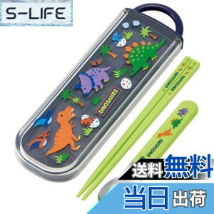 yzXP[^[(Skater)  Xv[Zbg fBmTEX CCA1 {-A