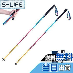 yzTRIWONDER gCjOp|[ 2{Zbg ܂肽ݎ y g|[ gbLO|[ oRXgbN EH[LO|[ mfBbNEH[LO (J