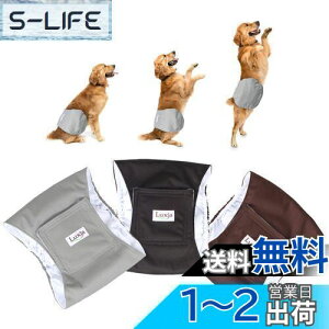 yzLuxja p}i[xg j̎q bV h Lk 3_Zbg }[LO R炵 IVbR΍ o  p(L,+O[+R[q[F)