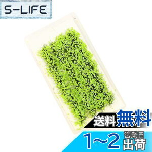 yz WI}pf ԃV[Y ΐF iRNV OX͌^ f  i  S͌^ WI} PJ07G-1JP