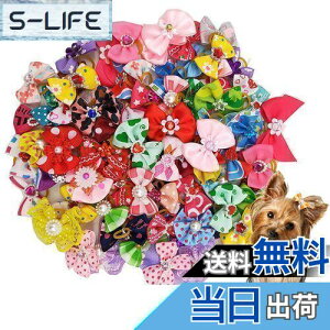 yzKingsie p{ wAoh 20_Zbg ybgp Jt  wAS wAANZT[  A\[g