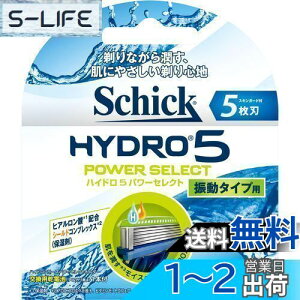 yzVbN Schick 5n nCh5 p[ZNg ֐n (4R) E J~\
