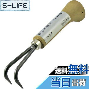 yzߗ^(KONYO) ܘY F 2{