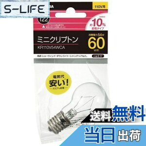 �y���������z���Ń��C�e�b�N �~�j�N���v�g���d�� 60W KR110V54WCA