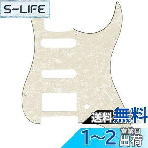yzMusiclily SSH 11XggsbNK[h Fender American/Mexican Standard XggLX^[GLM^[p Ap[`gp[4P