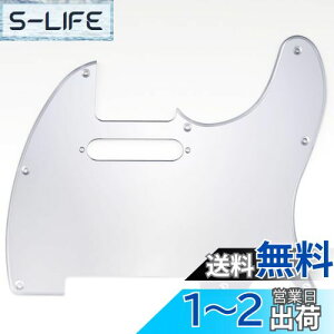 yzMusiclily 8 TL eLX^[sbNK[hFender USA/LVRX^_[hTeleGLM^[pAVo[~[1P