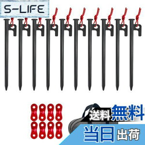 yzYOGOTO X`[yO 20cm10{Zbg LvyO egpyO yOP[Xt ^[vyO dy n np 10mm 1Nԕiۏ [P[X ݋t