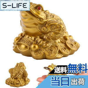 yzKingsie Or^ O{r̊^ K^  Or JG   J^ ^ ^ ɐ ObY CeA 蕨