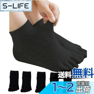 yz[InSomila] [C\~] 5{w\bNX qp ėpC XN[\bNX C bV ̎q j̎q LbY \bNX n 5Zbg  C q  ʊwp \b