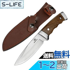 yzMOSSY OAK iCt AEghAiCt V[XiCt t^O\ S225mm VREbhnh oR Lv gbLO ނ ƒp DIYp hЗp pV[Xt