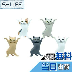 yzMRZJ JKRLyz_[lR̃y S5Zbggyz_[ (5PCS)