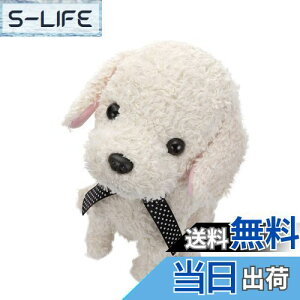 yzZKtFCu (SEGA FAVE) RR  N[