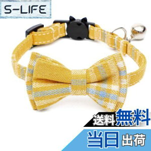 yzL t L̎  ybg  ѕt `FbN \ EȒP y S { 킢 ȃ_ ybgpANZT[ ꒅ j