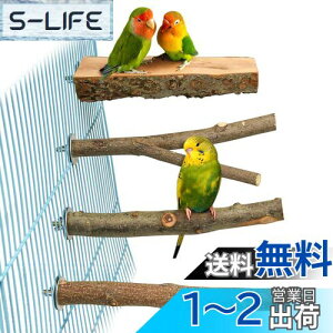 yz4_Zbg  ~܂ ~܂ ܂𖁂񂲂̖ R ނ ܂ p[` CR IE   ZLZCCR IJCR ₷݃{[h Vѓ 