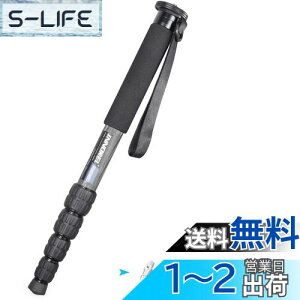 yzINNOREL r Jp J[{ 22lbs/10kgω׏d 5ZNVLk\ RpNg ֗ y spiRM285Cj