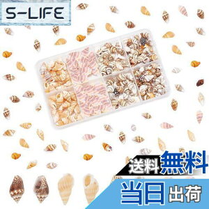 yzPH PandaHall 260 VF Lk Zbg L ~bNX r[`VF fRf r[` ANZT[p[c |pi f   p[eB[  C̓ Ă̑