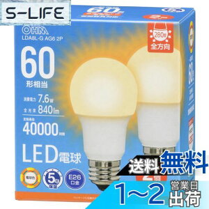 yzI[(OHM) d@ LEDd E26 60` 60bg` 60W` `Ή S dF 2 LDA8L-G AG6 2P 06-5520