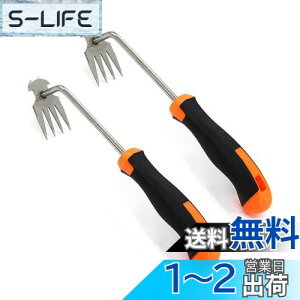 yz蓹   蓹 ܂ G G 2 XeX|  芙  Ƃ蓹 G  G ނ  