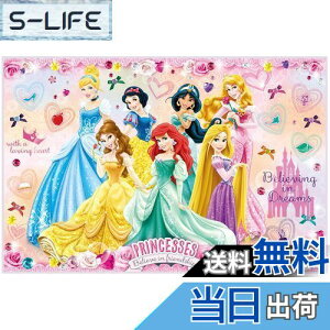 yzXP[^[(Skater) qp W[V[g  STCY 60×90cmTCY fBYj[ vZX 24 VS1-A