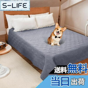 yzLOOBANI hJo[ xbh hV[c VO _u xbh  Lp xbhJo[ h \t@[ hV[c Rh~ ~ ƋveN^[ ۂƐ􂦂 ݑϐ 