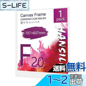 【送料無料】HANSILK キャンバス 張りキャンバス キャンバスボード F20 707mmx607mm 【1枚】油絵 画材 画布 油絵の具 ギャラリー用 油彩・アクリル兼用 化繊綿製 オイル漏れ防止 厚手 中目 子供 初